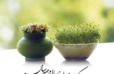 نوروز سال ۱۴۰۴ تبریک و تهنیت باد