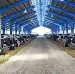 مولدسازی دارایی های دولت (کشت و صنعت مغان) در چه شرایطی می تواند موفقیت آمیز باشد